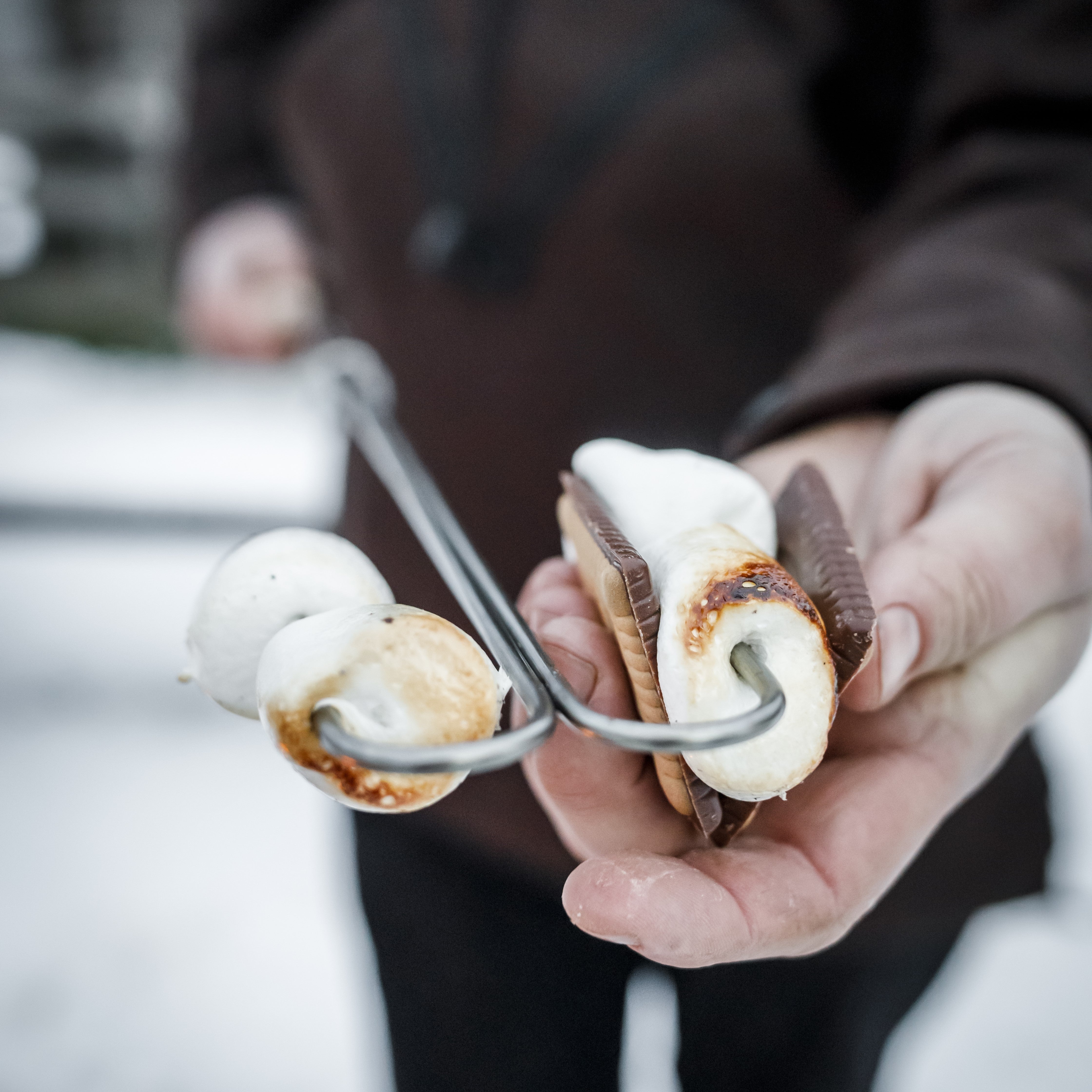 Campfire Skewer (2 pieces in set)